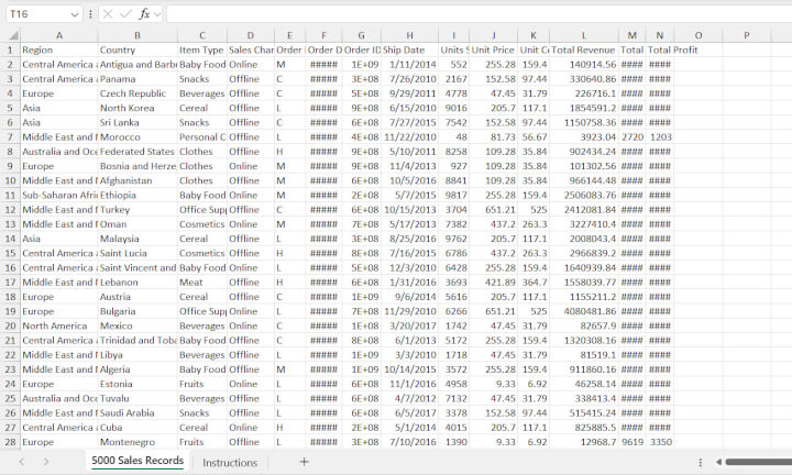 Excel spreadsheet raw data