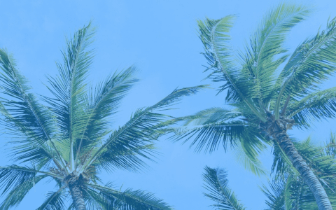 48 Best Excel Add-Ins That Will Make Your Life Easier