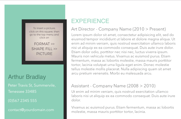 word resume templates - green resume template