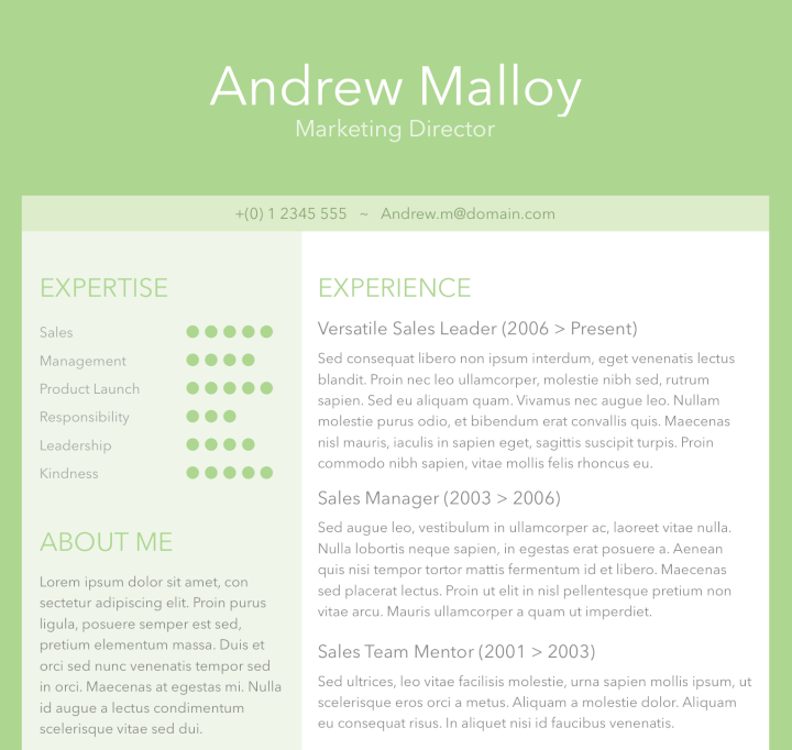 word resume templates - creative resume template
