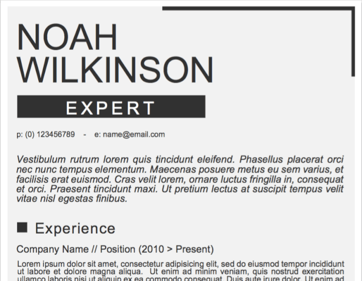 word resume templates - newspaper resume template