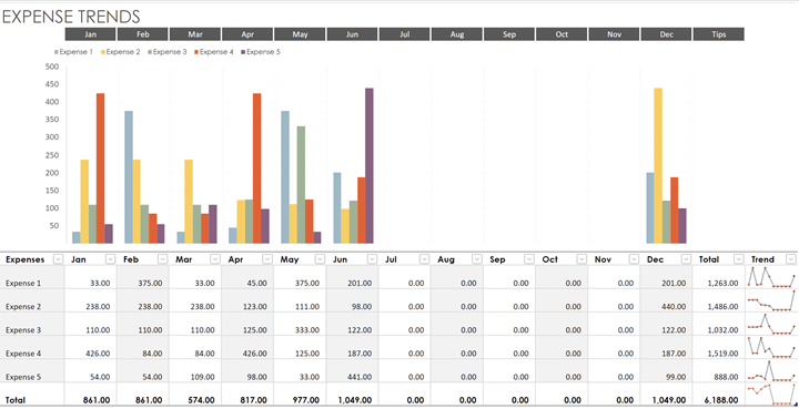 expense trends report template